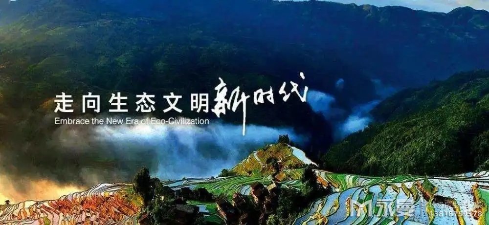 垃圾分类